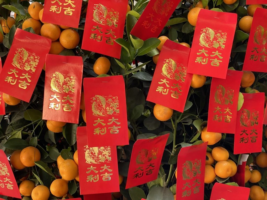 Hong Kong-inspired lanterns adorn a tree, beautifully blending traditional Chinese culture with modern digital marketing aesthetics. Hong Kong-inspired lanterns adorn a tree, beautifully blending traditional Chinese culture with modern digital marketing aesthetics.